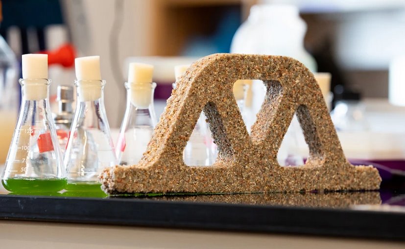 «живий бетон» з бактерій