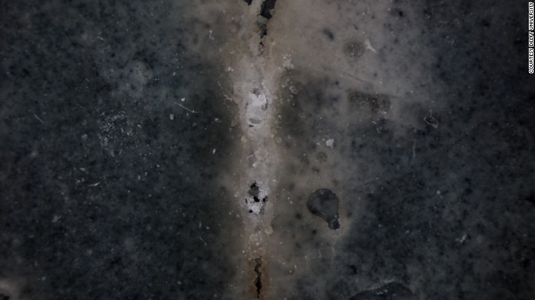 «живий бетон» з бактерій