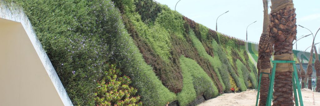 Створення найбільшої “живої стіни” у світі