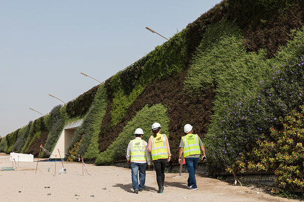 Створення найбільшої “живої стіни” у світі