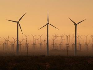 На Волині з'явиться німецька ВЕС на 110 МВт