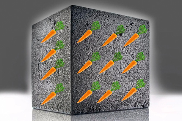 Відходи від моркви та буряка роблять з бетонних конструкцій електрогенератори