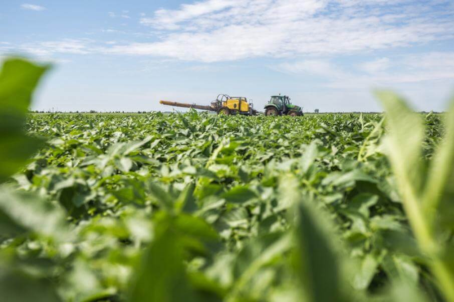 Як за допомогою пива та чипсів можна знизити рівень викидів вуглецю при виробництві добрив