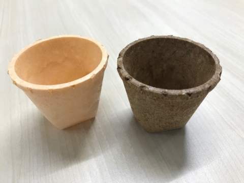 В Японії випустили їстівні кухлі для того, щоб скоротити споживання пластику 