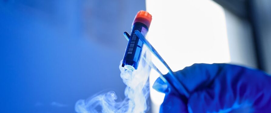 Bluu Biosciences будет первой в Европе выращивать мясо лосося, форели и карпа в пробирке