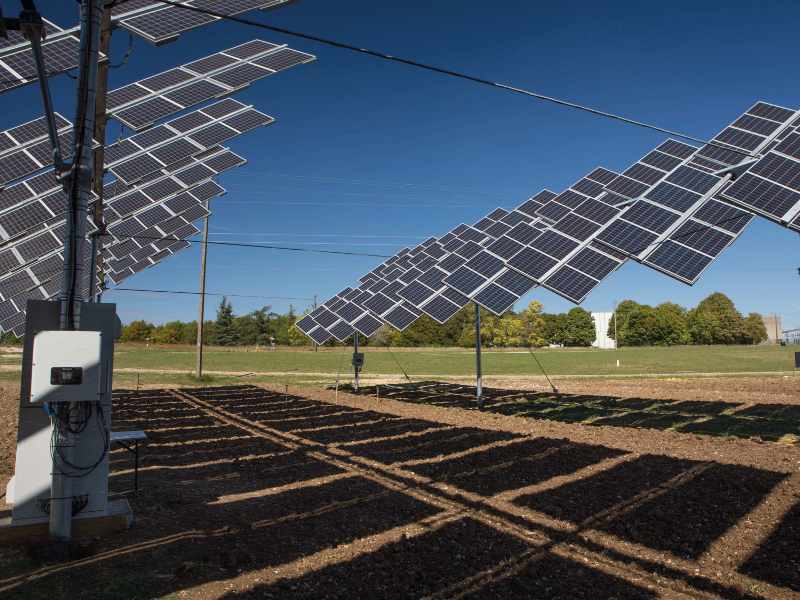 Італія хоче продемонструвати можливість інтеграції двох стійких технологій: одночасно виробляючи сонячну енергію та вирощуючи мікроводорості 