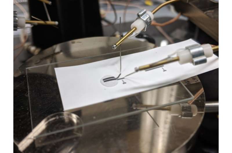 США представили друковану електроніку, яку можна використовувати багато разів 